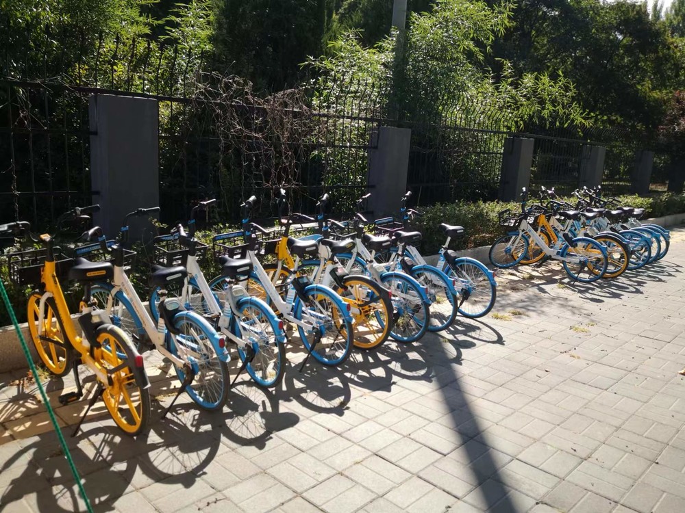 20220925094050_72.jpg IMG_5411.JPG