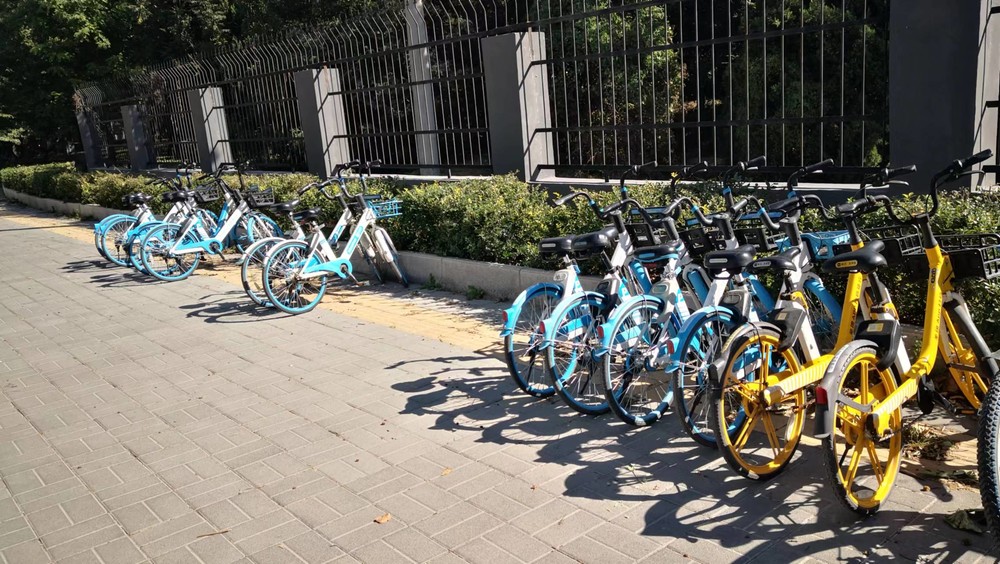 20220925094102_56.jpg IMG_5410.JPG